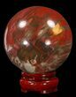 Colorful Petrified Wood Sphere #41931-1